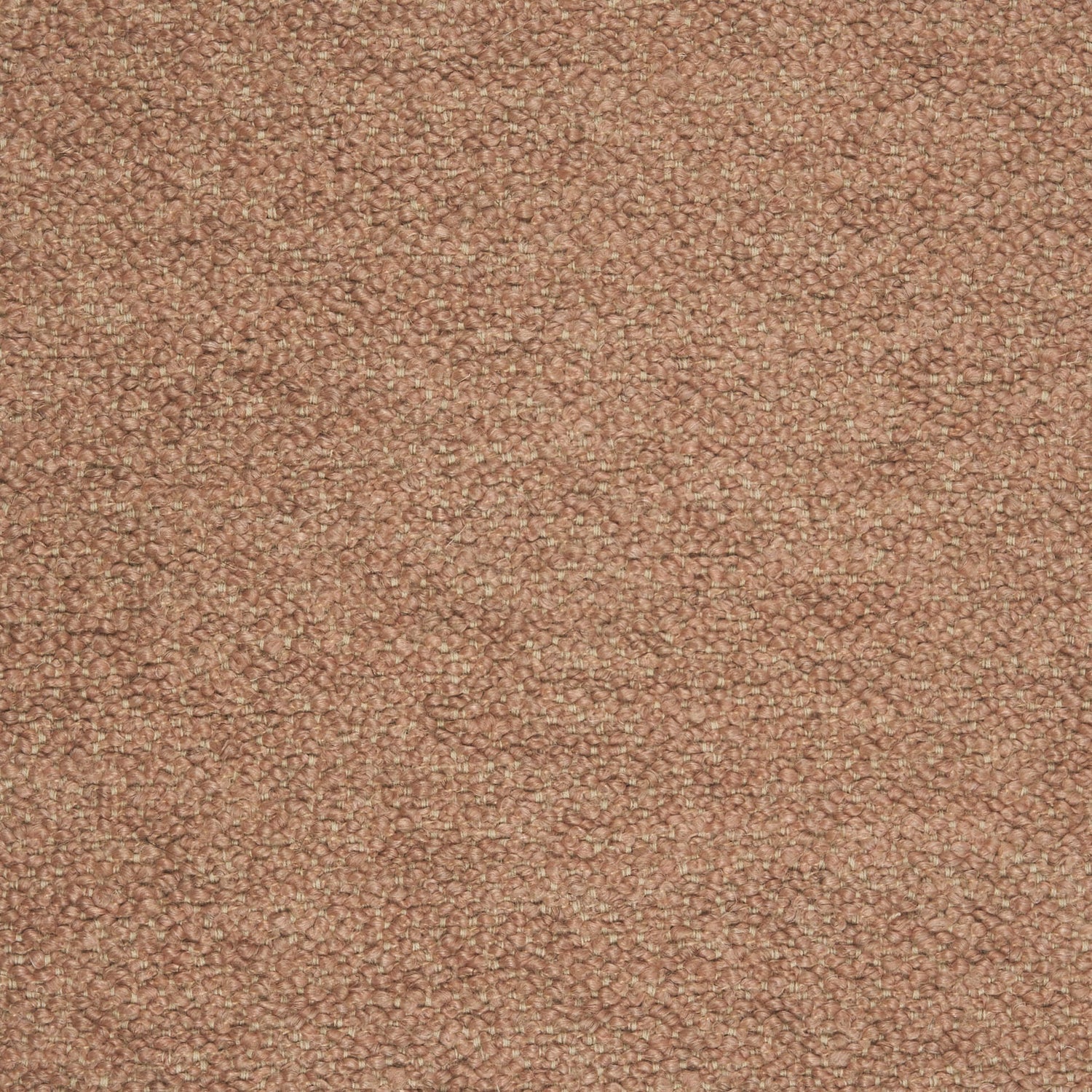 Barnum 027 color swatch
