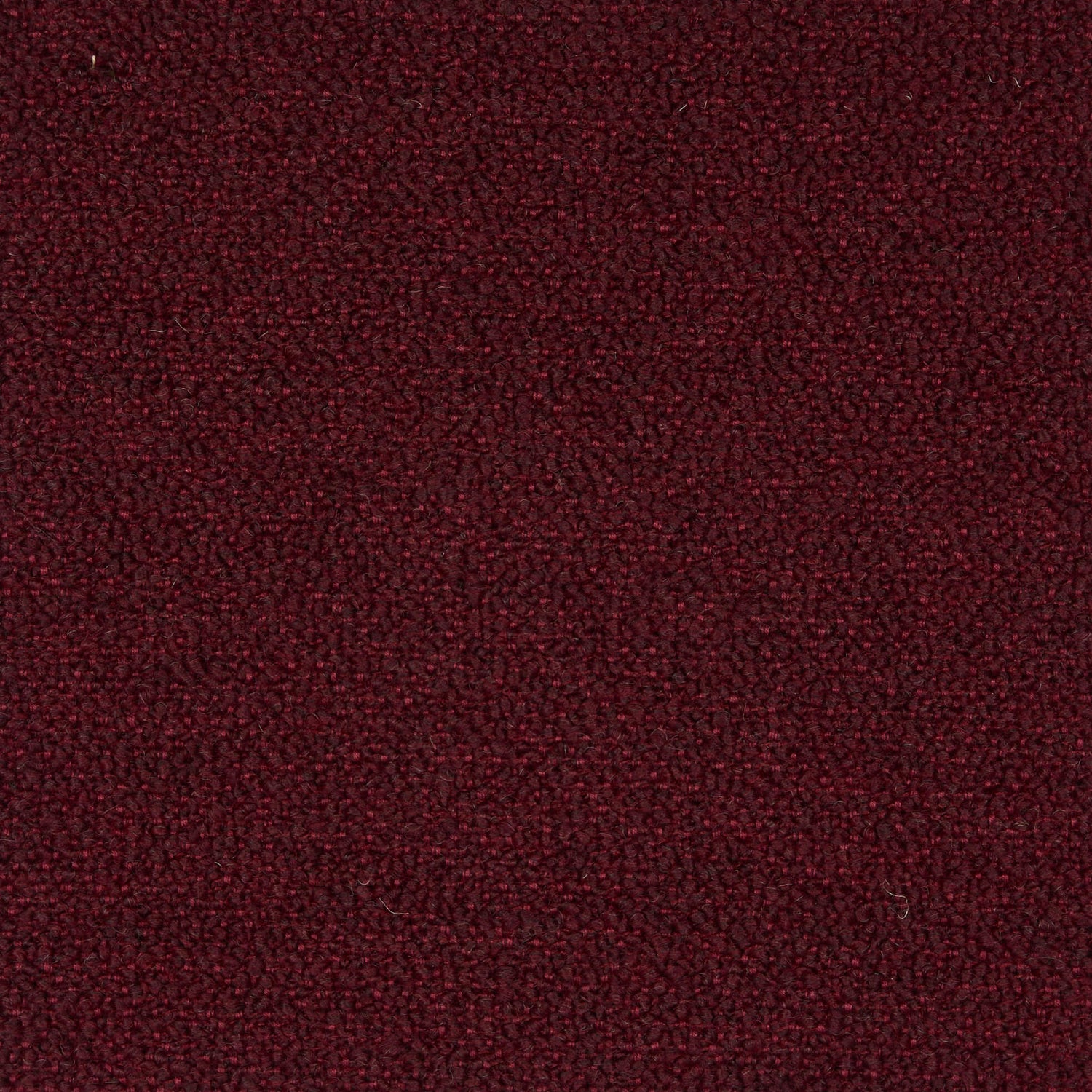 Barnum 029 color swatch